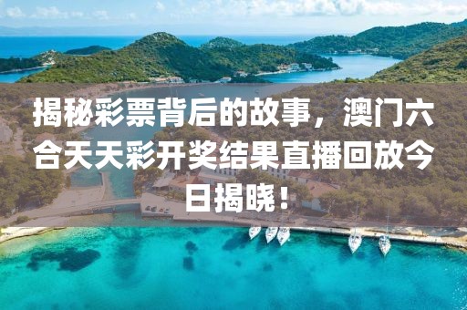 揭秘彩票背后的故事，澳门六合天天彩开奖结果直播回放今日揭晓！
