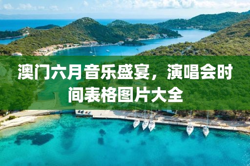 澳门六月音乐盛宴，演唱会时间表格图片大全