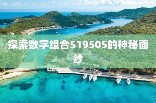 探索数字组合519505的神秘面纱