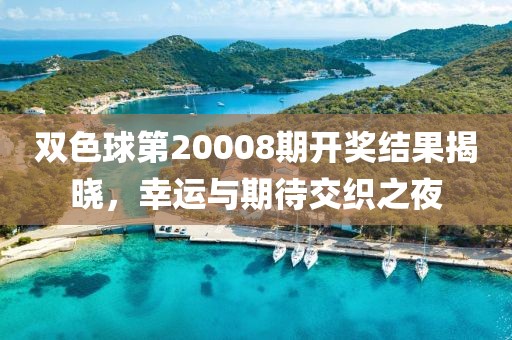 双色球第20008期开奖结果揭晓，幸运与期待交织之夜