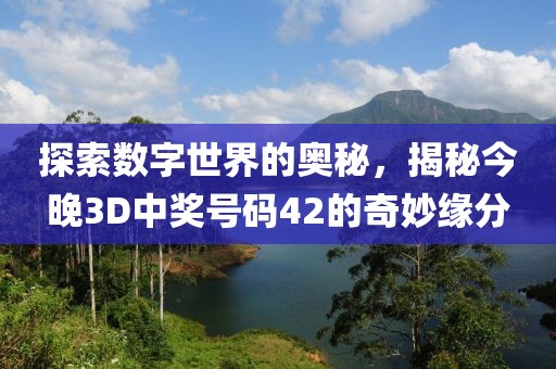 探索数字世界的奥秘，揭秘今晚3D中奖号码42的奇妙缘分