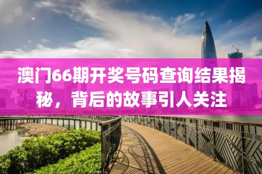 澳门66期开奖号码查询结果揭秘，背后的故事引人关注