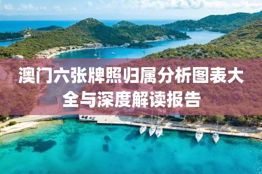 澳门六张牌照归属分析图表大全与深度解读报告