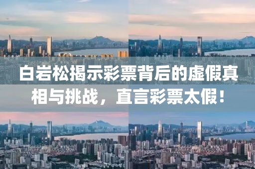 白岩松揭示彩票背后的虚假真相与挑战，直言彩票太假！