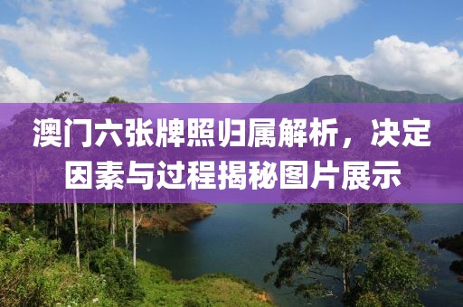澳门六张牌照归属解析，决定因素与过程揭秘图片展示