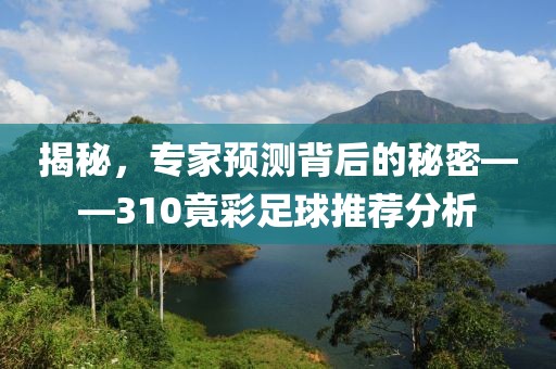 揭秘，专家预测背后的秘密——310竟彩足球推荐分析