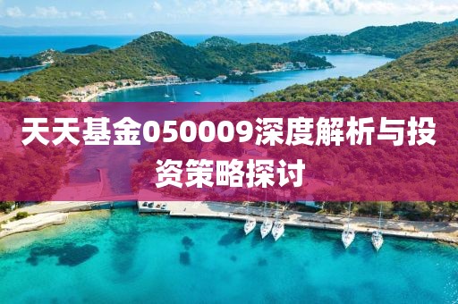 天天基金050009深度解析与投资策略探讨