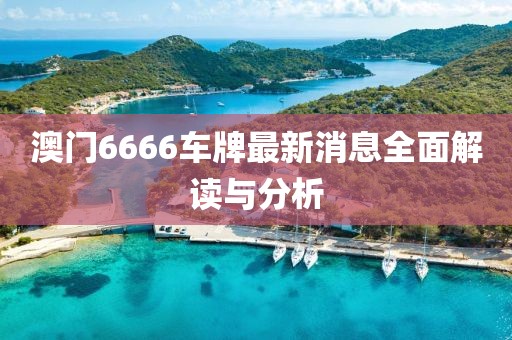 澳门6666车牌最新消息全面解读与分析