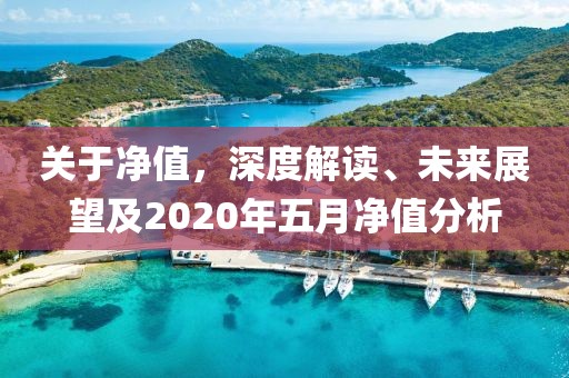 关于净值，深度解读、未来展望及2020年五月净值分析