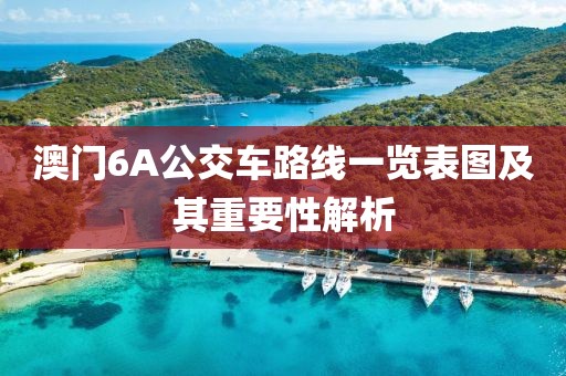 澳门6A公交车路线一览表图及其重要性解析