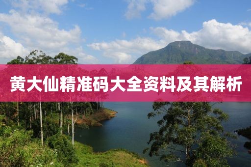 黄大仙精准码大全资料及其解析