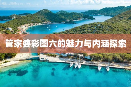 管家婆彩图六的魅力与内涵探索