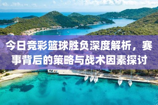 今日竞彩篮球胜负深度解析，赛事背后的策略与战术因素探讨