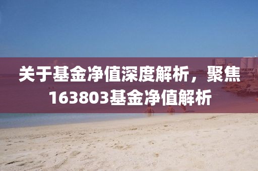 关于基金净值深度解析，聚焦163803基金净值解析