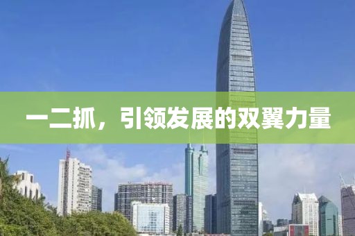 一二抓，引领发展的双翼力量