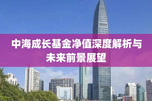 中海成长基金净值深度解析与未来前景展望