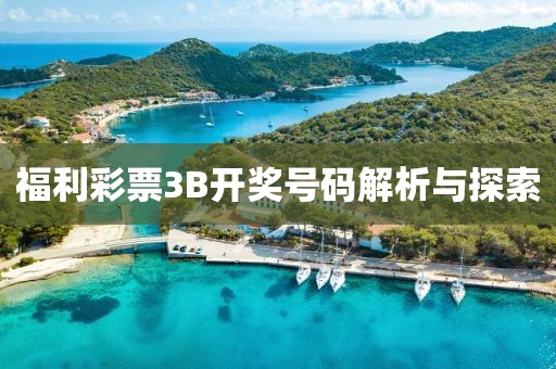 福利彩票3B开奖号码解析与探索
