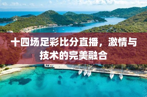 十四场足彩比分直播，激情与技术的完美融合
