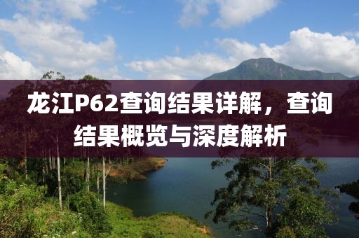 龙江P62查询结果详解，查询结果概览与深度解析
