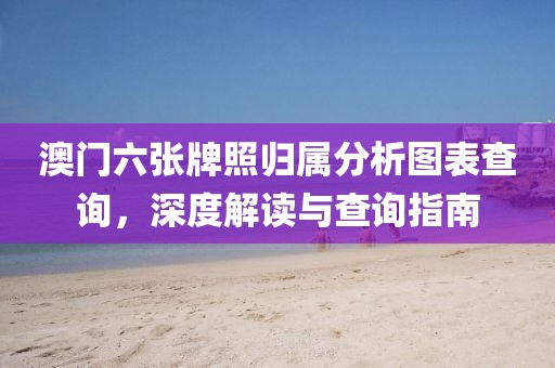 澳门六张牌照归属分析图表查询，深度解读与查询指南