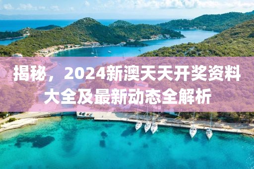 揭秘，2024新澳天天开奖资料大全及最新动态全解析