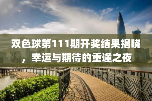 双色球第111期开奖结果揭晓，幸运与期待的重逢之夜