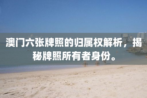 澳门六张牌照的归属权解析，揭秘牌照所有者身份。