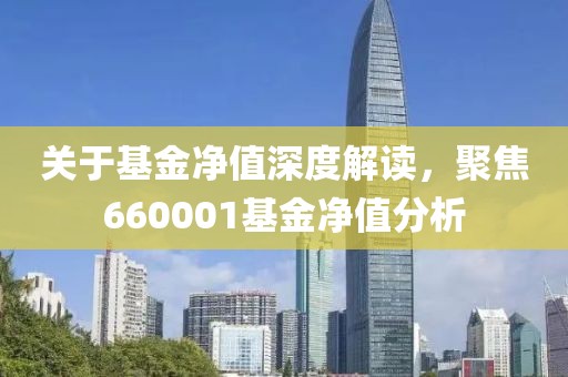 关于基金净值深度解读，聚焦660001基金净值分析