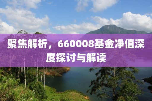 聚焦解析，660008基金净值深度探讨与解读