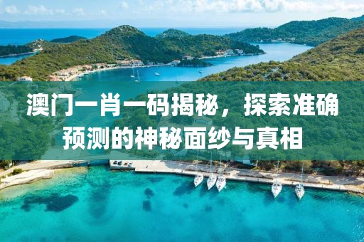 澳门一肖一码揭秘，探索准确预测的神秘面纱与真相
