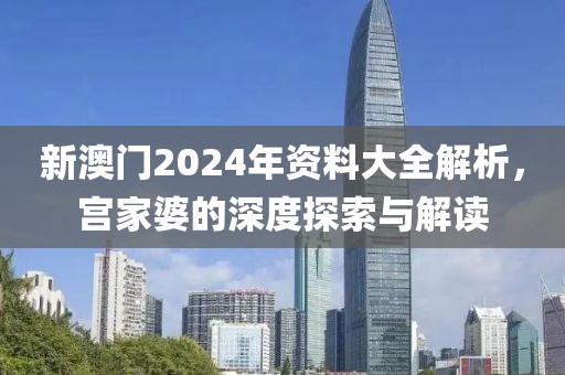新澳门2024年资料大全解析，宫家婆的深度探索与解读