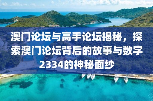澳门论坛与高手论坛揭秘，探索澳门论坛背后的故事与数字2334的神秘面纱