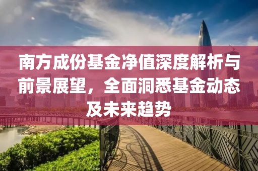 南方成份基金净值深度解析与前景展望，全面洞悉基金动态及未来趋势