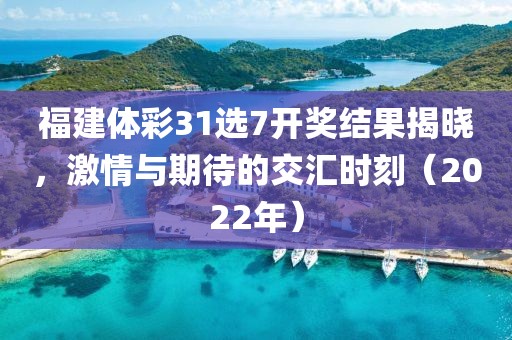 福建体彩31选7开奖结果揭晓，激情与期待的交汇时刻（2022年）