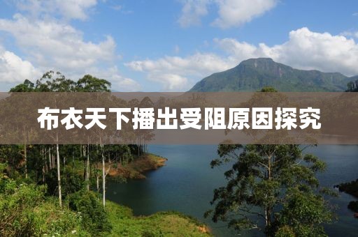 布衣天下播出受阻原因探究