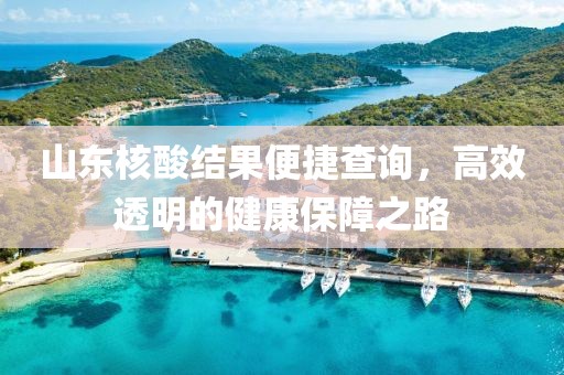 山东核酸结果便捷查询，高效透明的健康保障之路