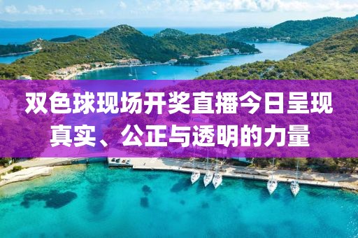 双色球现场开奖直播今日呈现真实、公正与透明的力量