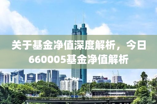 关于基金净值深度解析，今日660005基金净值解析