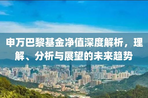 申万巴黎基金净值深度解析，理解、分析与展望的未来趋势