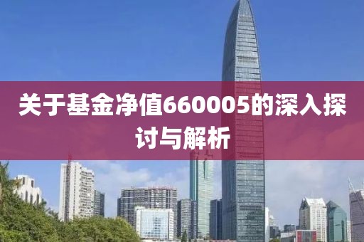 关于基金净值660005的深入探讨与解析