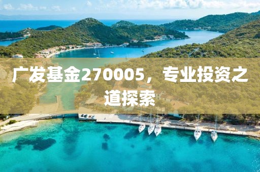 广发基金270005，专业投资之道探索