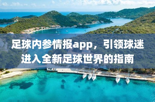 足球内参情报app，引领球迷进入全新足球世界的指南