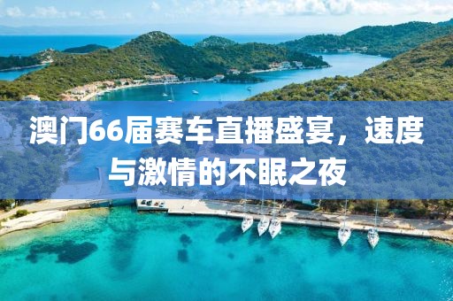 澳门66届赛车直播盛宴，速度与激情的不眠之夜