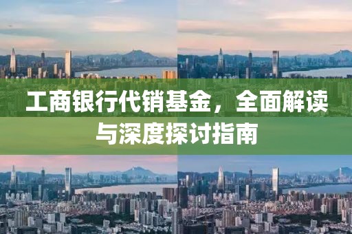 工商银行代销基金，全面解读与深度探讨指南