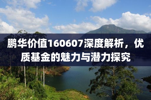 鹏华价值160607深度解析，优质基金的魅力与潜力探究