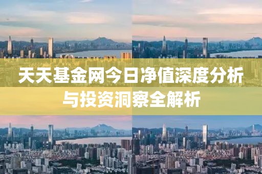 天天基金网今日净值深度分析与投资洞察全解析