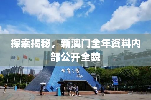 探索揭秘，新澳门全年资料内部公开全貌
