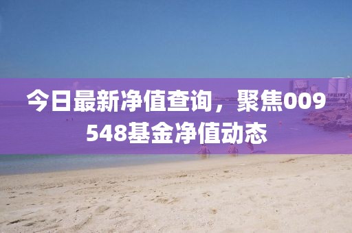 今日最新净值查询，聚焦009548基金净值动态
