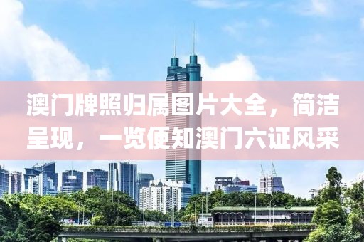 澳门牌照归属图片大全，简洁呈现，一览便知澳门六证风采