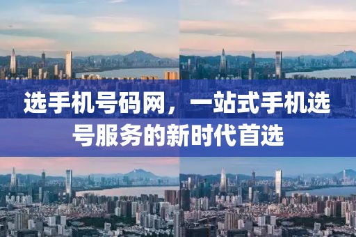 选手机号码网，一站式手机选号服务的新时代首选